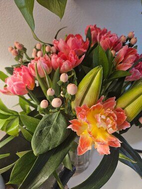 Meet your Posher, Mar